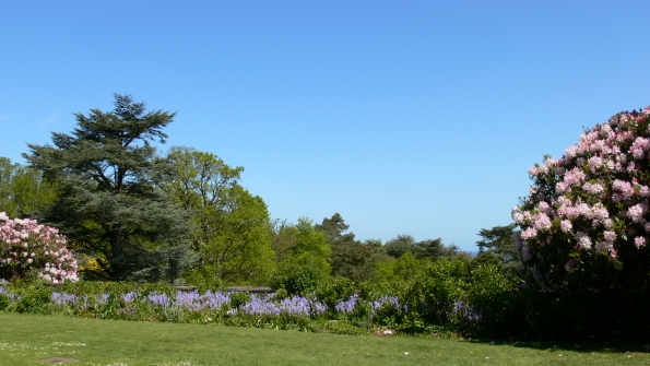 Bois des Moutiers (170) Mai 2012